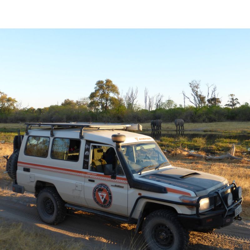 eezi-awn-k9-roof-rack-for-toyota-land-cruiser-70-series-side-view-with-elephants-on-background-in-nature